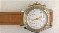Armbanduhr Philip Watch Herr Hippos in Stahl 8251934017 - 8251934017